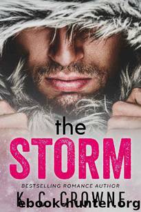 The Storm by K.C. Crowne