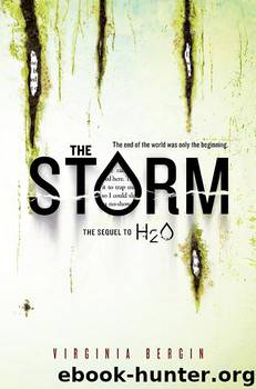 The Storm by Virginia Bergin