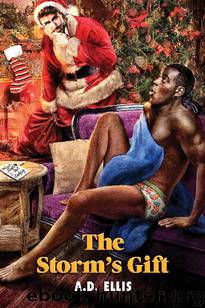 The Storm's Gift by A.D. Ellis