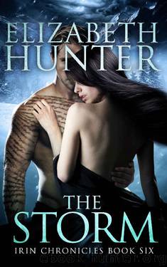 The Storm: Irin Chronicles Book Six by Elizabeth Hunter