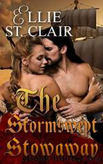 The Stormswept Stowaway by Ellie St. Clair