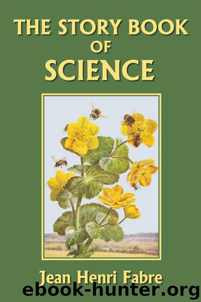 The Story Book of Science (Yesterday's Classics) by Fabre Jean Henri