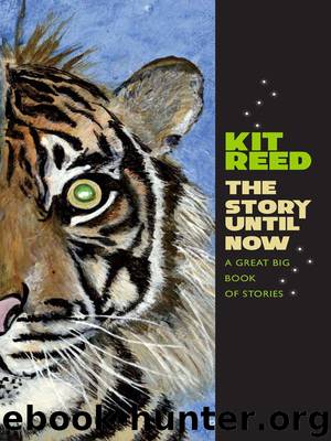 The Story Until Now: A Great Big Book of Stories by Reed Kit