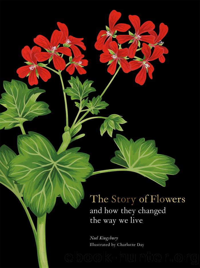 The Story of Flowers by Kingsbury Noel;