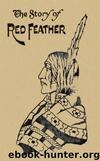 The Story of Red Feather: A Tale of the American Frontier by Edward Sylvester Ellis