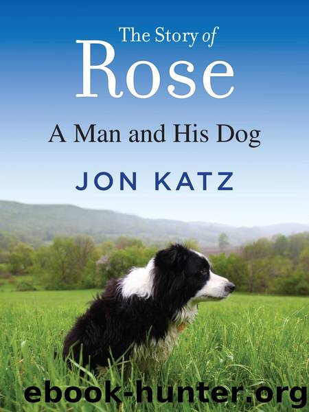 The Story of Rose by Jon Katz