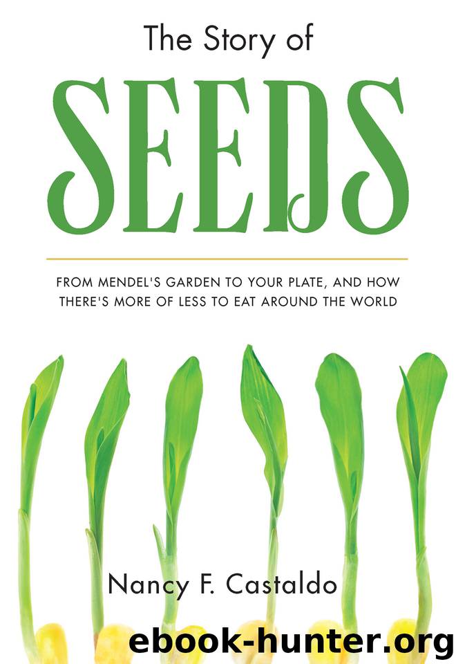 The Story of Seeds by Nancy Castaldo