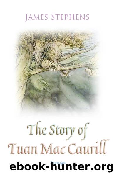 The Story of Tuan Mac Caurill (Irish Fairy Tales) by James Stephens