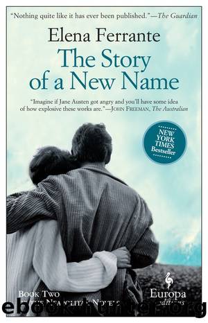 The Story of a New Name: Book Two of the the Neapolitan Novels by Ferrante Elena
