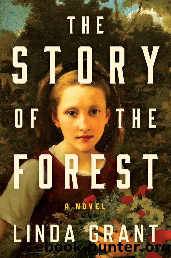 The Story of the Forest by Linda Grant