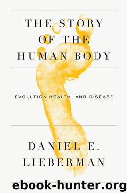 The Story of the Human Body by Daniel Lieberman