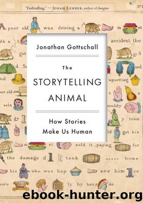 The Storytelling Animal: How Stories Make Us Human by Gottschall Jonathan
