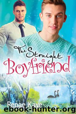 The Straight Boyfriend (Loving You Book 3) by Renae Kaye