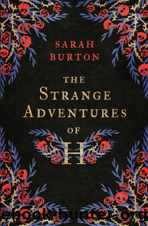 The Strange Adventures of H by Sarah Burton