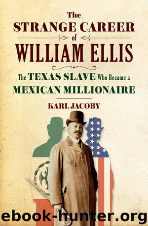 The Strange Career of William Ellis by Karl Jacoby