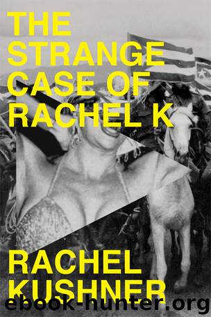 The Strange Case of Rachel K by Rachel Kushner