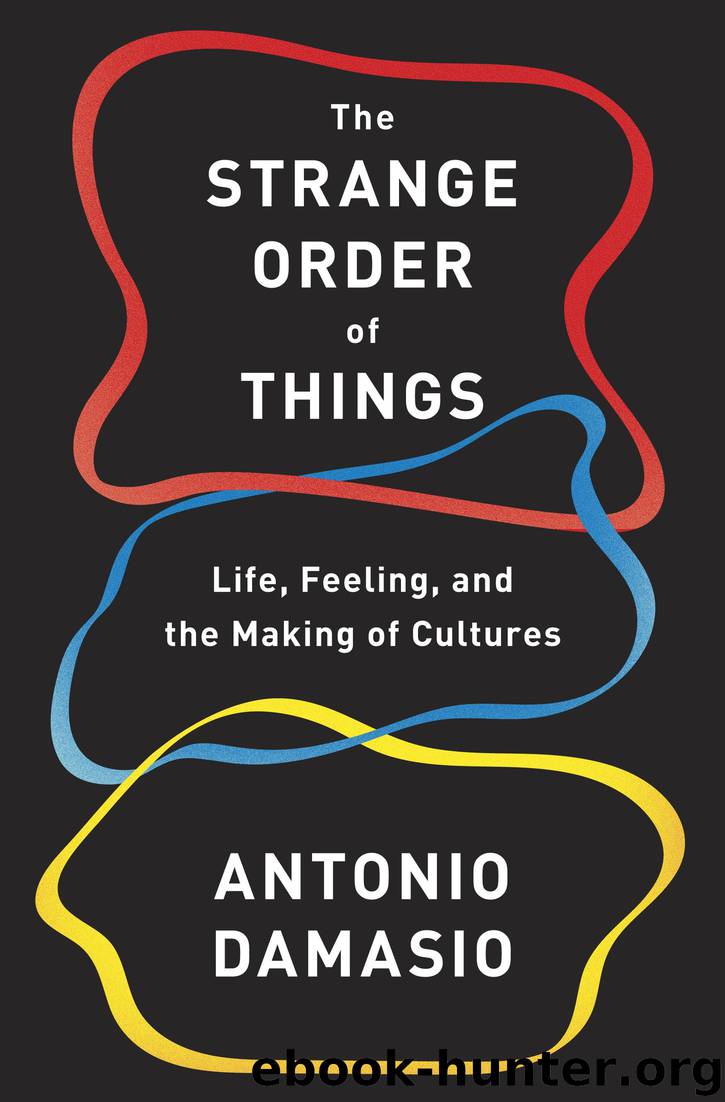 The Strange Order of Things by Antonio Damasio