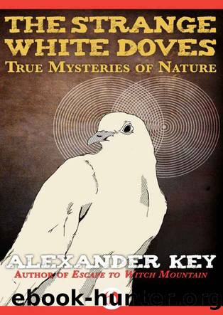 The Strange White Doves: True Mysteries of Nature by Alexander Key