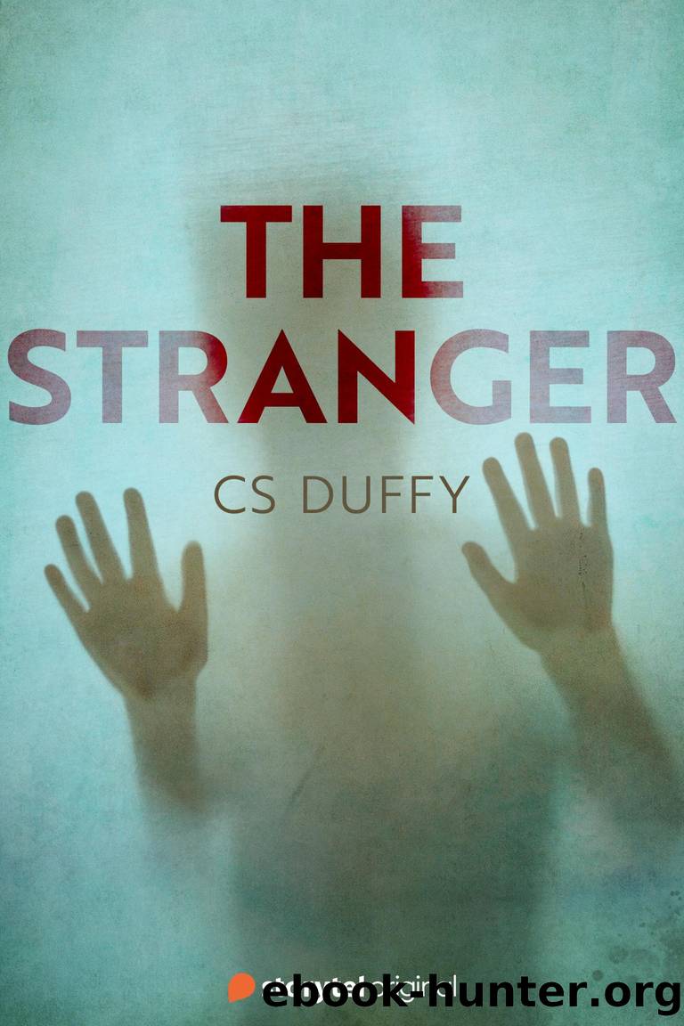 The Stranger - Book 1 by Duffy CS
