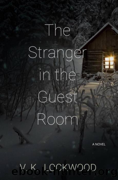 The Stranger In the Guest Room by V. K. Lockwood