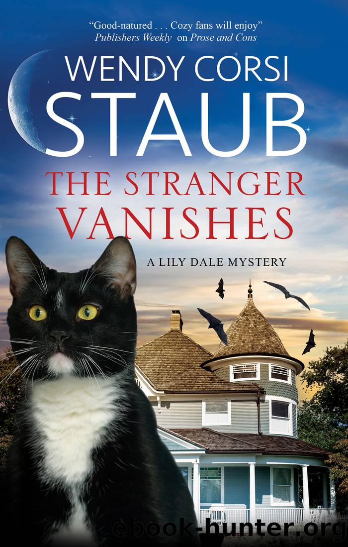 The Stranger Vanishes by Wendy Corsi Staub
