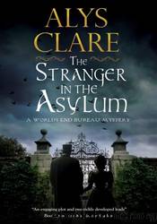 The Stranger in the Asylum by Alys Clare