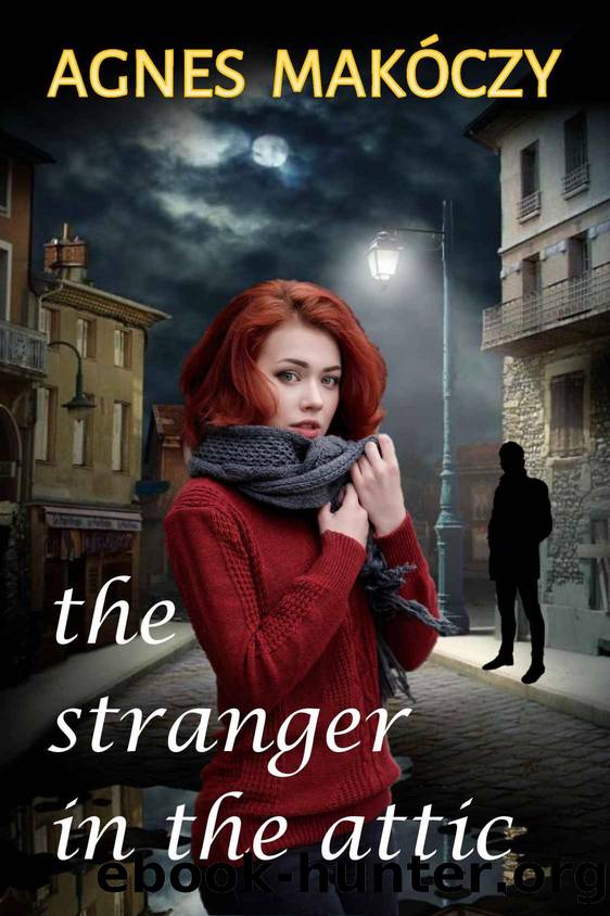 The Stranger in the Attic by Agnes Makoczy