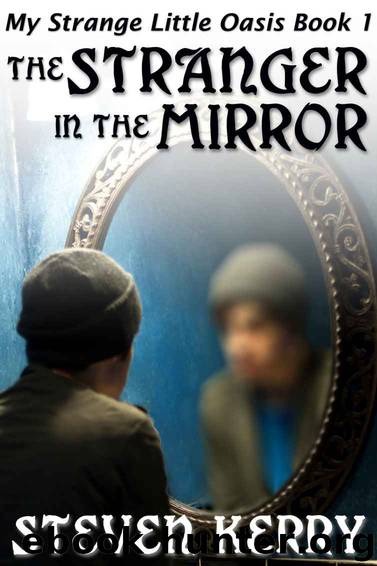 The Stranger in the Mirror by Steven Kerry