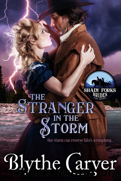 The Stranger in the Storm by Blythe Carver