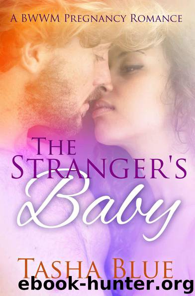 The Stranger's Baby by Tasha Blue