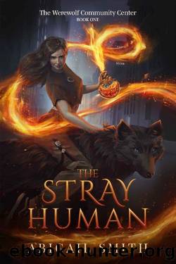 The Stray Human: A collage age urban fantasy with werewolves, werewolf community center book 1 by Abigail Smith