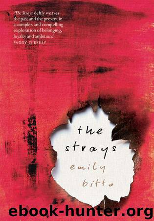 The Strays by Emily Bitto