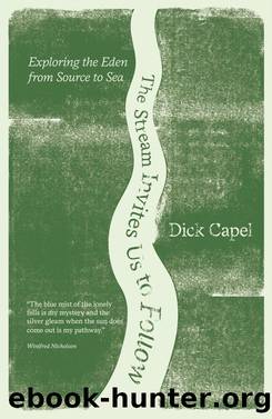 The Stream Invites Us to Follow by Dick Capel
