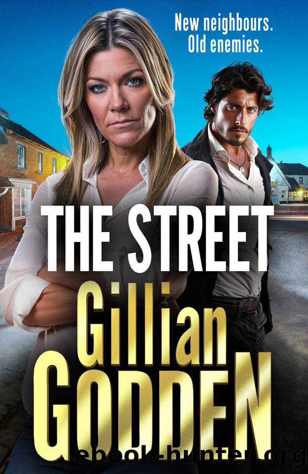 The Street (The Silvas) by Gillian Godden