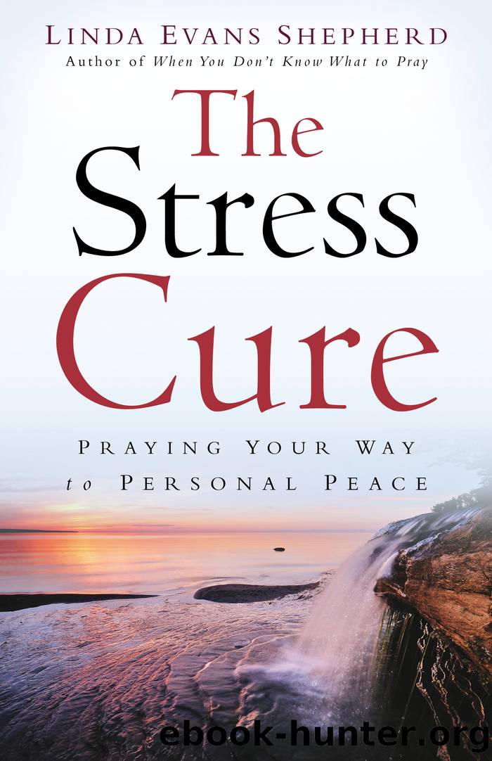 The Stress Cure by Linda Evans Shepherd