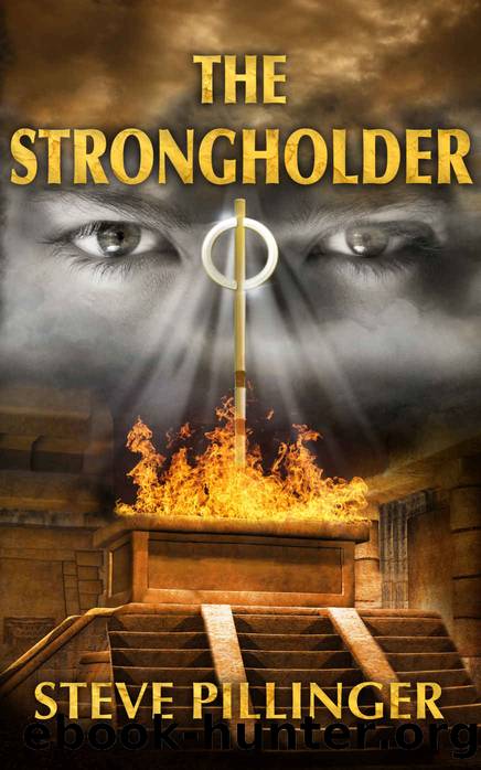 The Strongholder (The Mindrulers Book 3) by Steve Pillinger