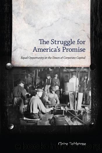 The Struggle for America's Promise by Claire Goldstene