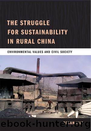 The Struggle for Sustainability in Rural China by Bryan Tilt