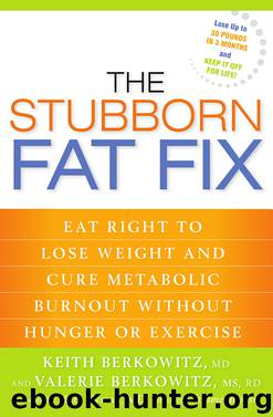 The Stubborn Fat Fix by Keith Berkowitz