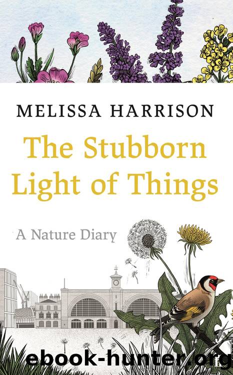 The Stubborn Light of Things: A Nature Diary by Melissa Harrison