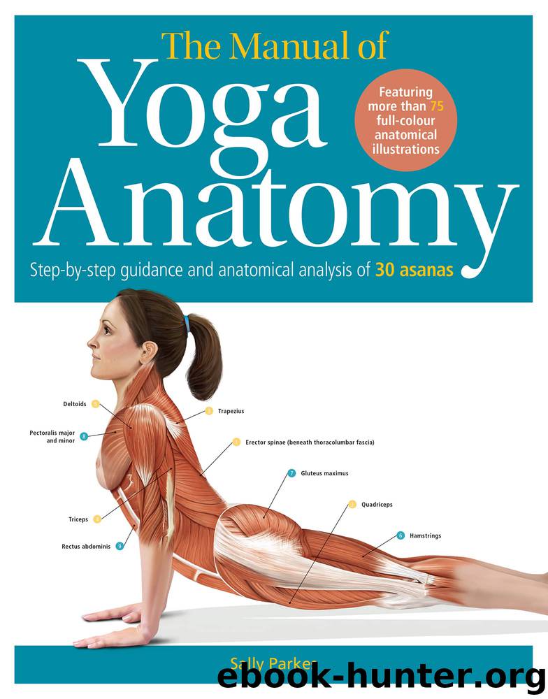 The Student's Anatomy of Yoga Manual by Sally Parkes