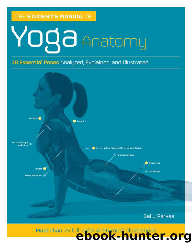 The Student's Manual of Yoga Anatomy: 30 Essential Poses Analyzed, Explained, and Illustrated by Sally Parkes