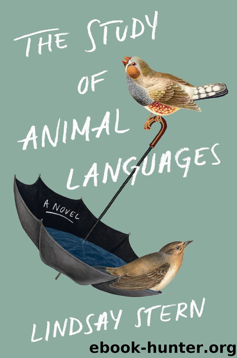 The Study of Animal Languages by Lindsay Stern