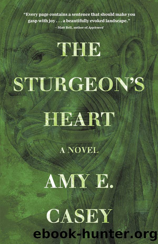 The Sturgeon's Heart by Amy E. Casey