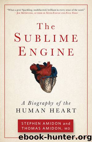 The Sublime Engine by Stephen Amidon