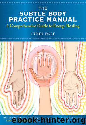 The Subtle Body Practice Manual by Cyndi Dale