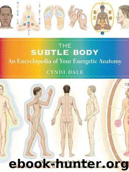 The Subtle Body: An Encyclopedia of Your Energetic Anatomy by Dale Cyndi