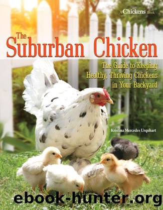 The Suburban Chicken by Kristina Mercedes Urquhart
