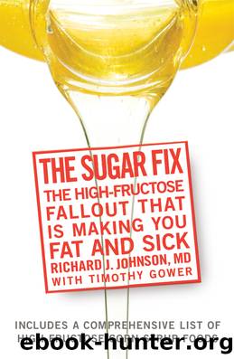 The Sugar Fix by Richard Johnson