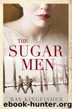 The Sugar Men by Ray Kingfisher